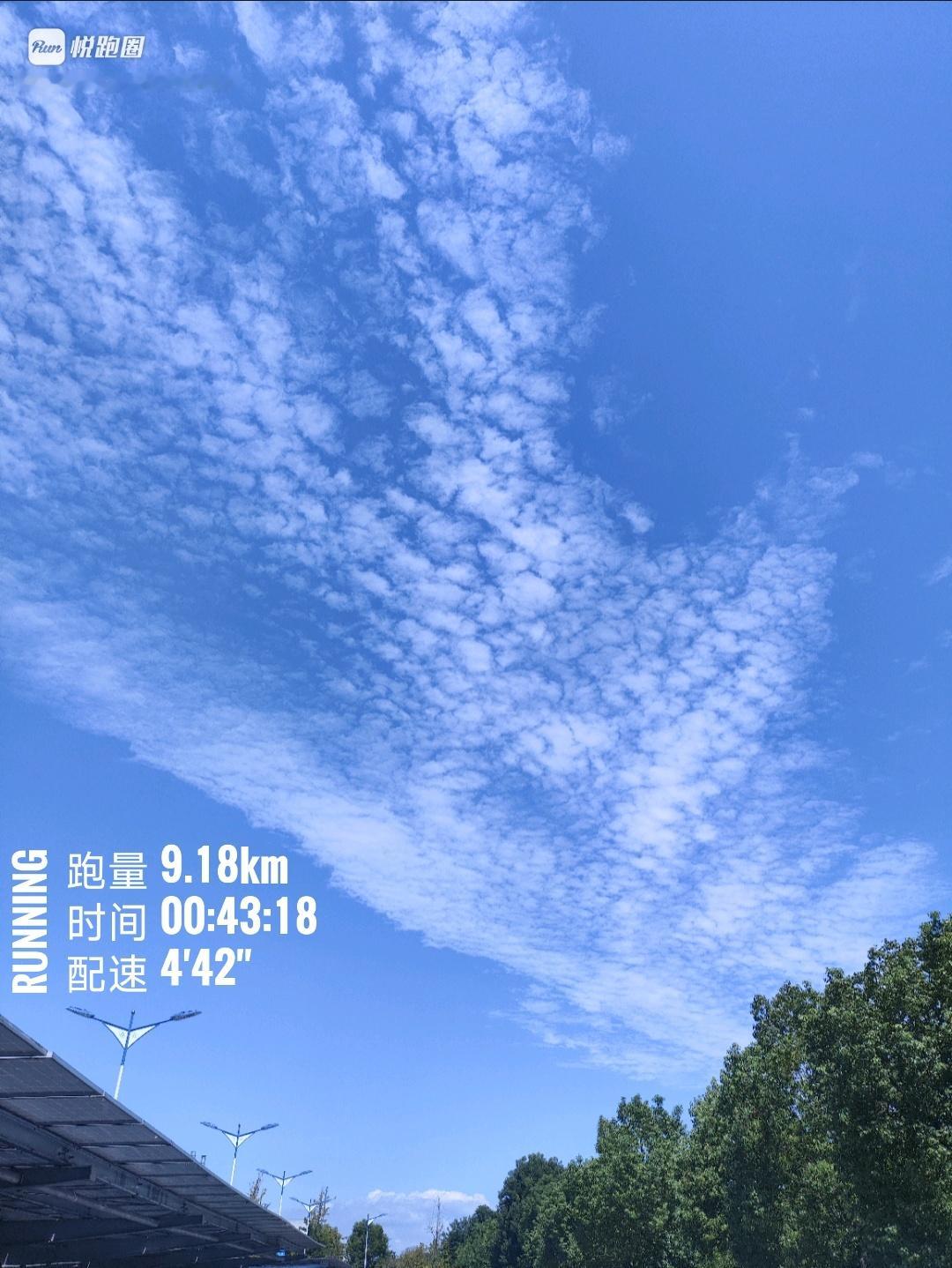 同學们睡觉💤九一八九一八今儿男篮还大比分输给了小日子二队，唉…… ​​​