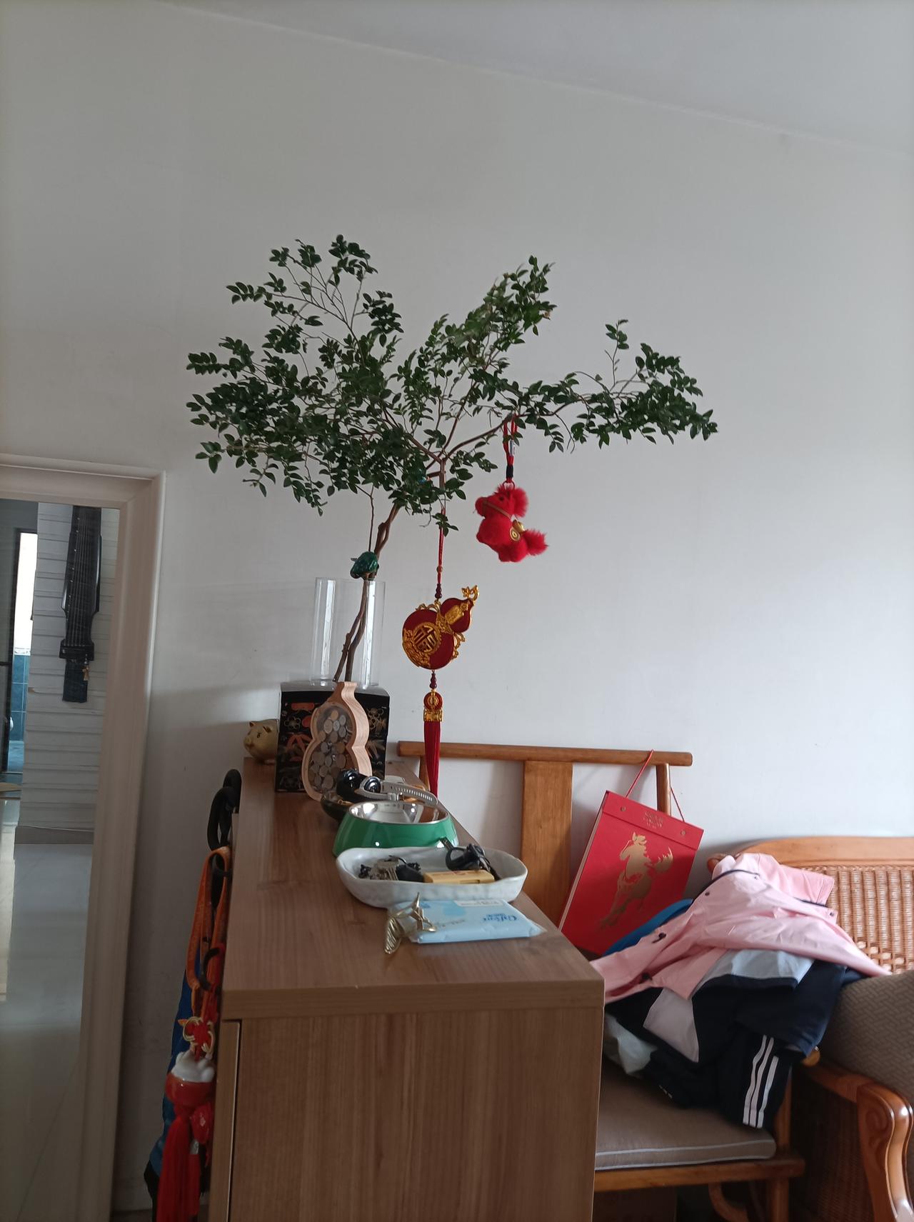 新年爱好打卡新年喜欢买几盆鲜花，把家里打扮得漂漂亮亮的，看看都很开心！