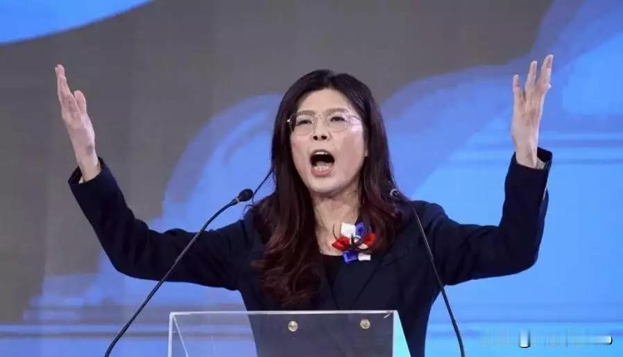 郑丽文喊出和平牌，国民党真能当两岸定海神针
 
最近，中国国民党新任主席郑丽文上