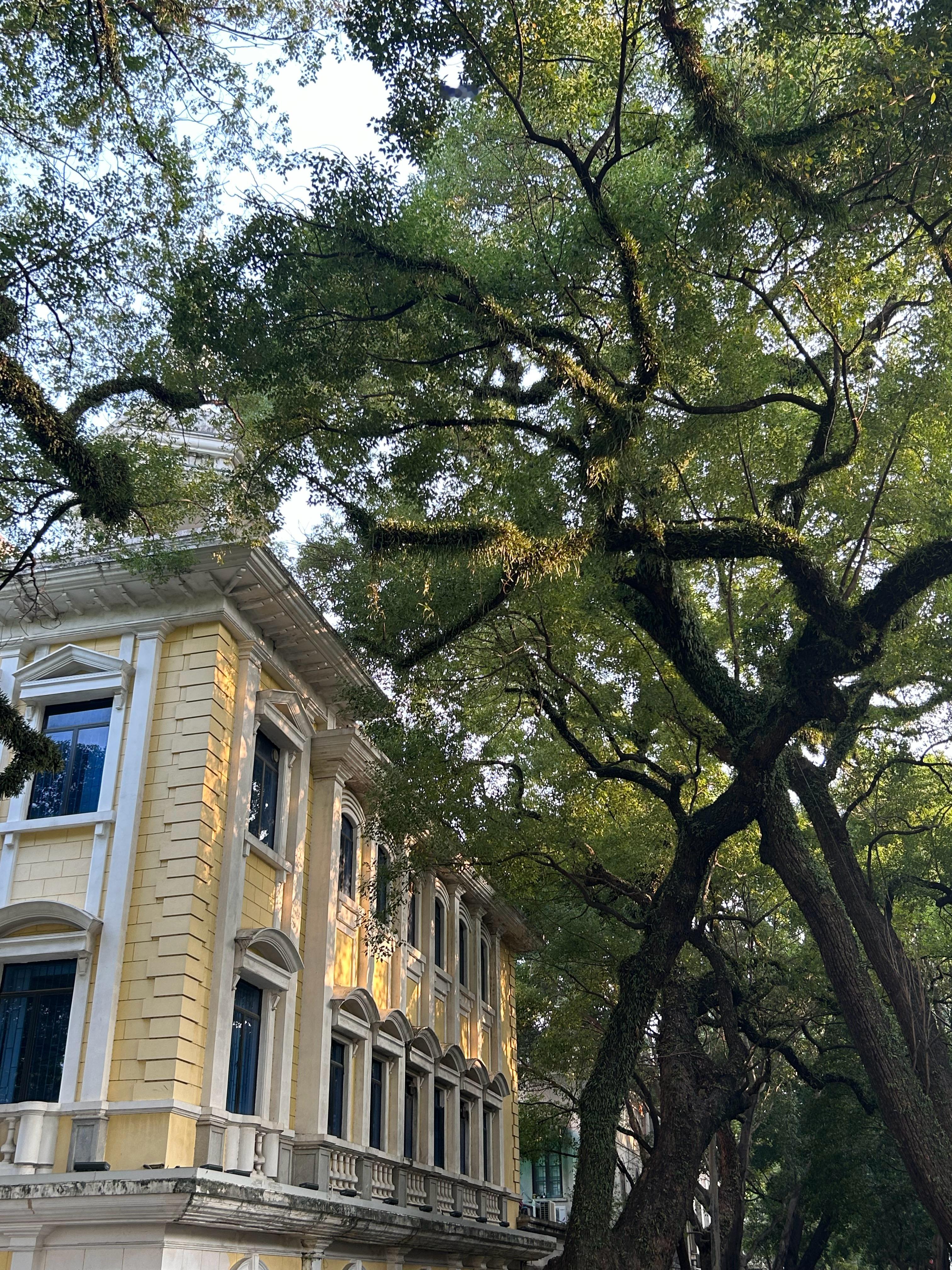 最近感知幸福的能力在不断增强会因为生活的小事而欢呼雀跃 人生小满胜万全！ ​​​