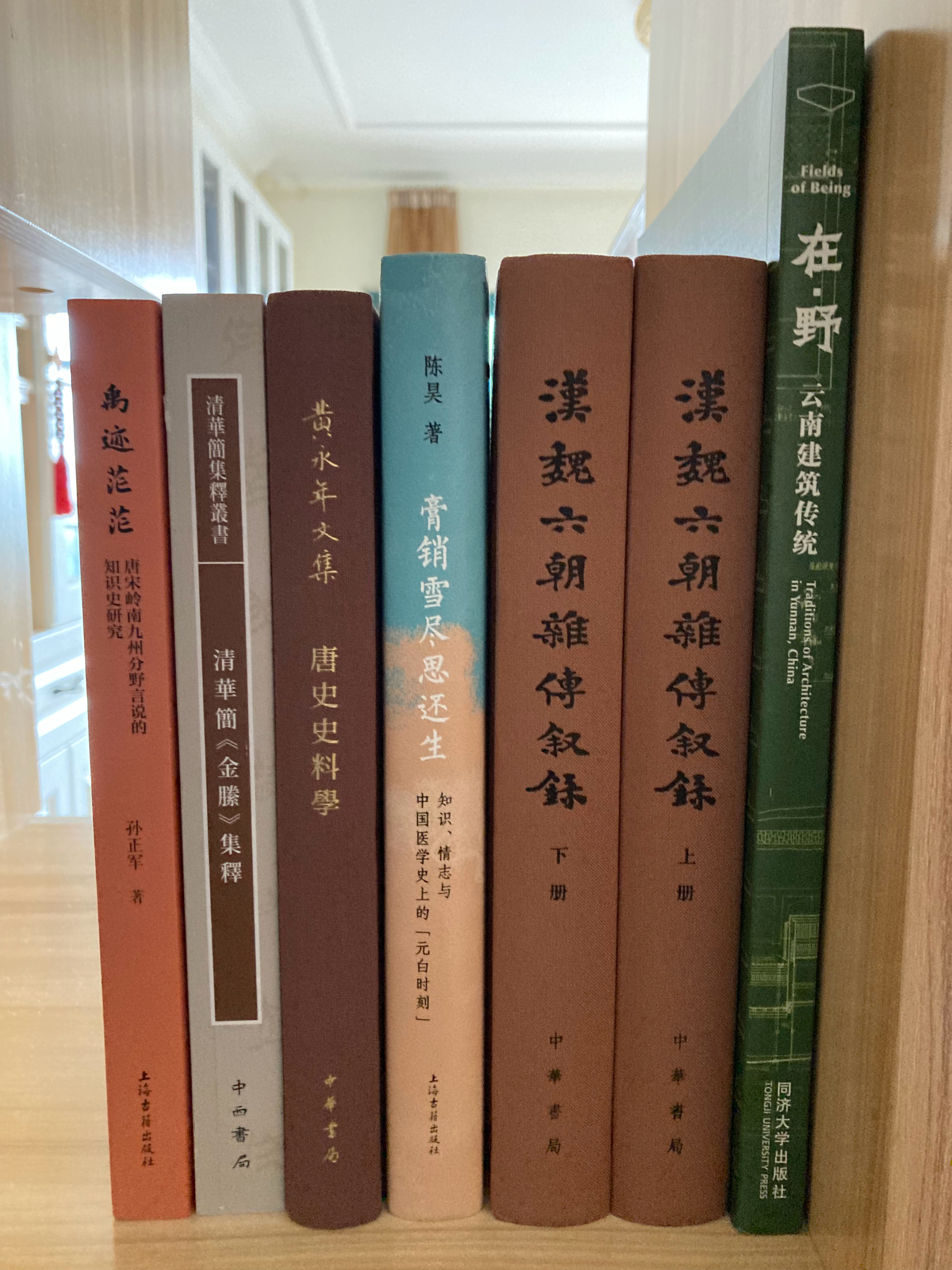 多抓鱼一单 多抓鱼书影 《清华简〈金縢〉集释》《汉魏六朝杂传叙录》《唐史史料学》