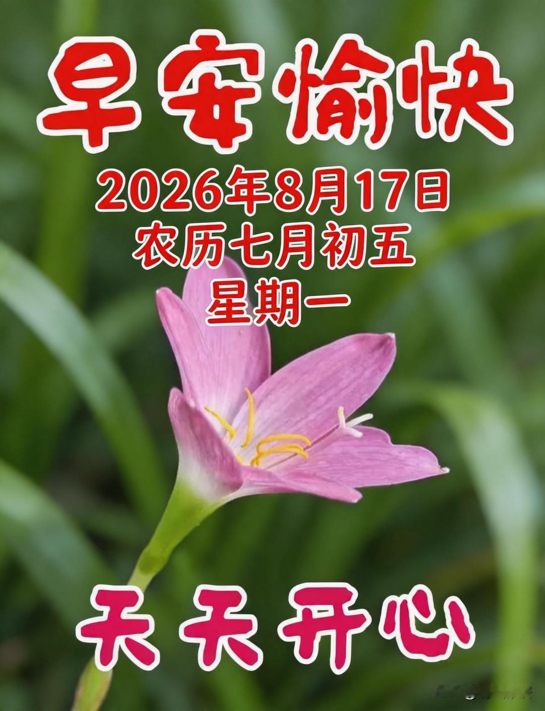 未来几天，都是这样的天气，云彩比较多，时不时有雷阵雨。