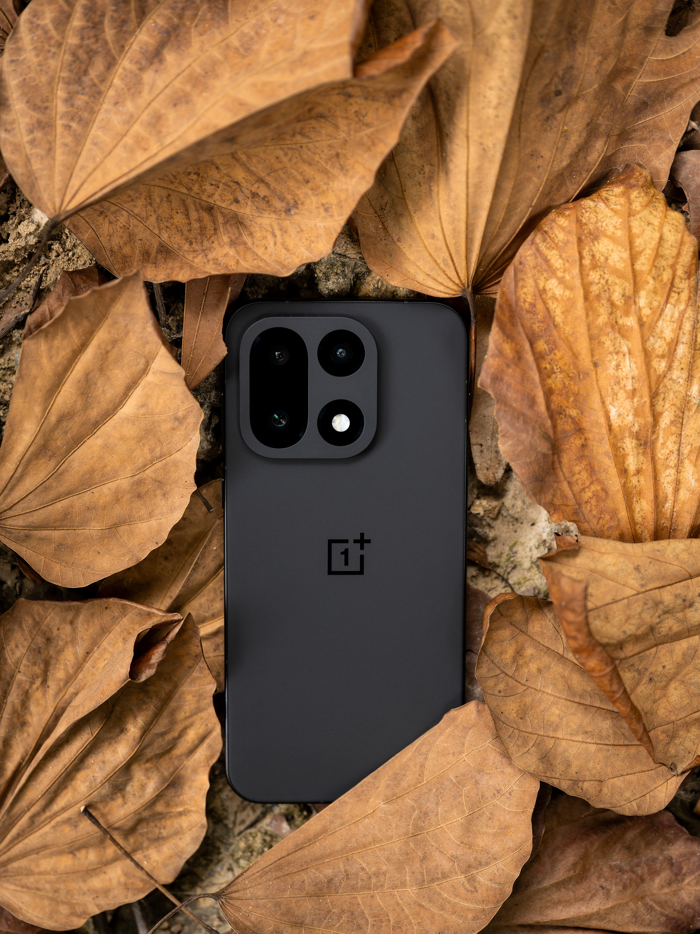 📷 分享图片~ ​​​