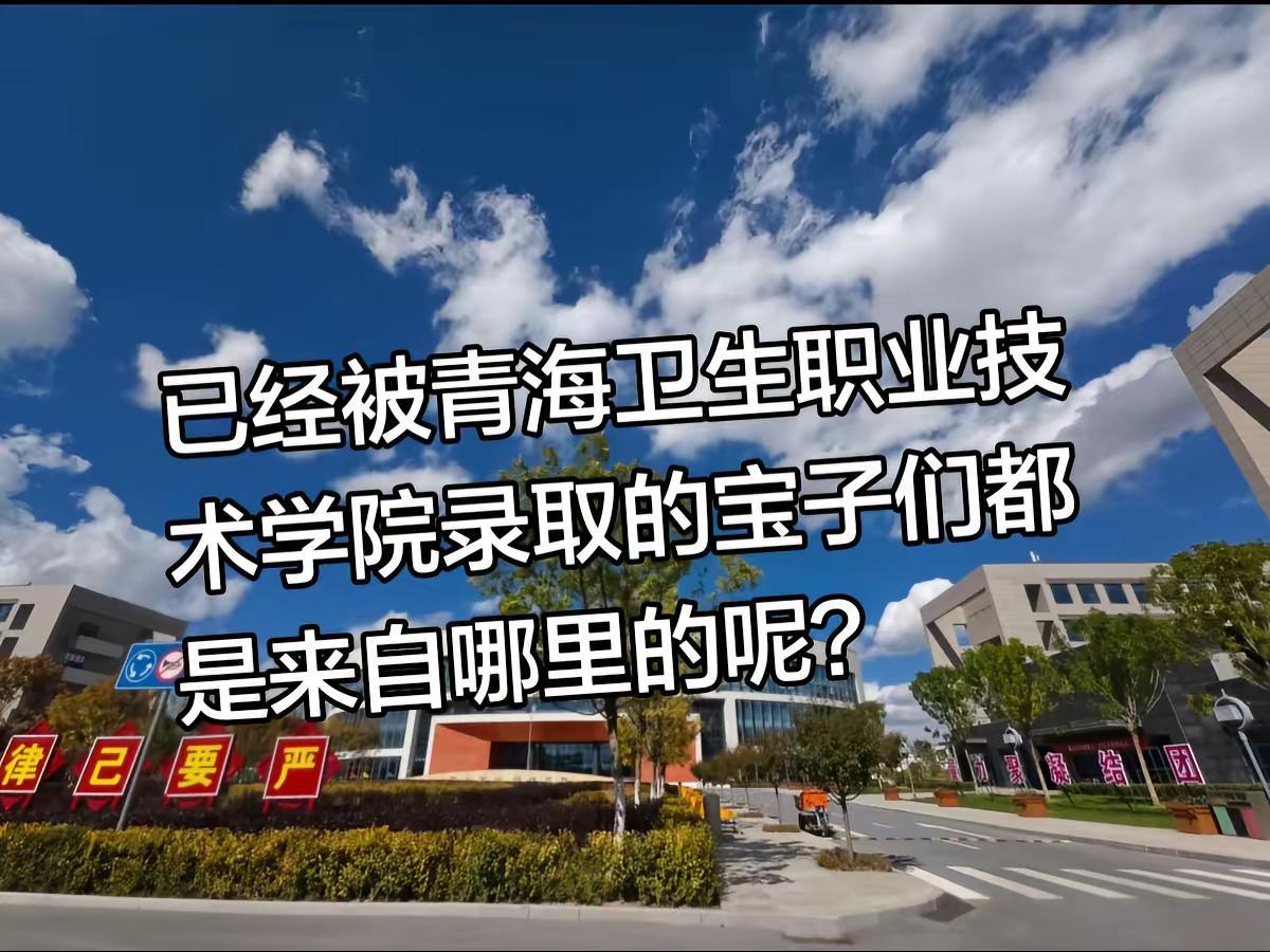青海卫生职业技术学院青职院录取志愿查询状态录取结果