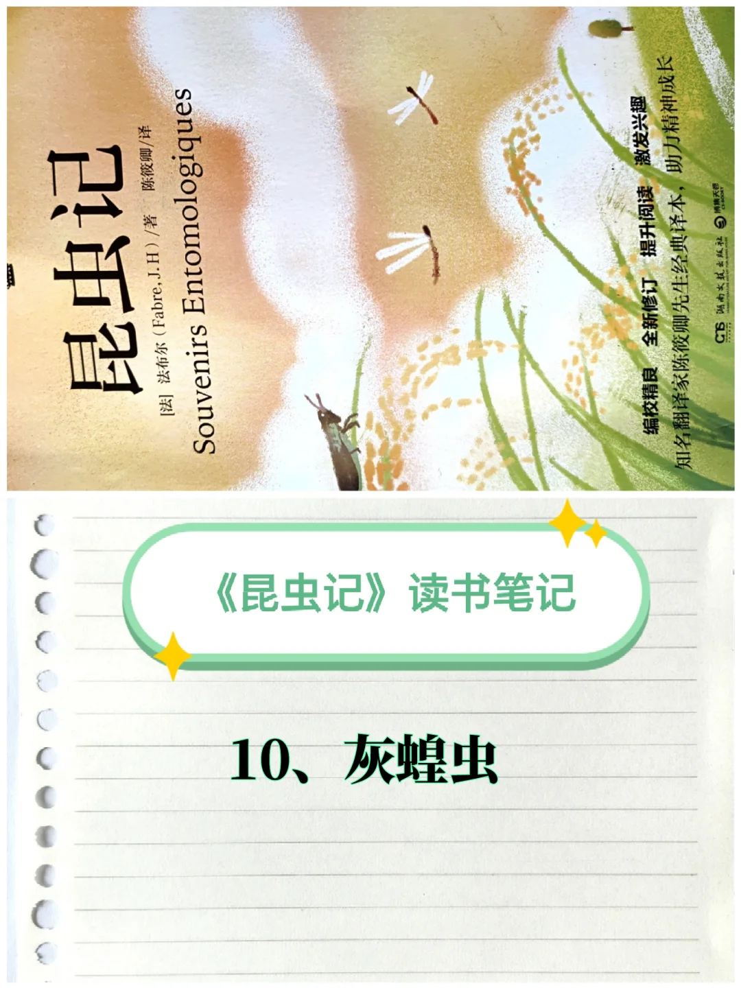《昆虫记》笔记（10）：灰蝗虫