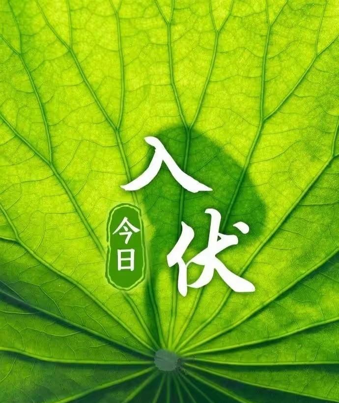 今日入伏！上午9点56分正式进入伏天。俗话说：“早入伏，凉飕飕；晚入伏，热死牛”