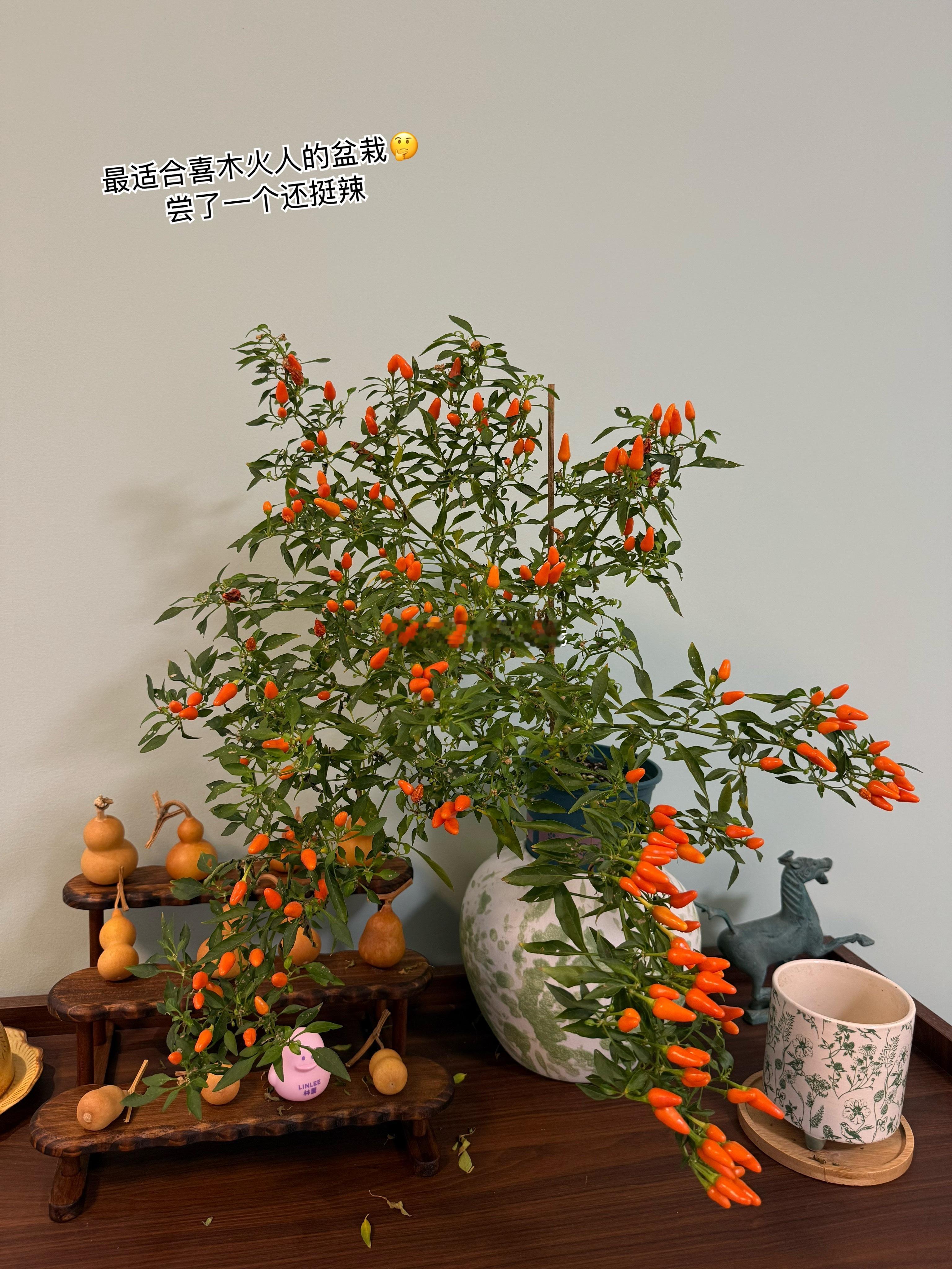 紫微斗数  2027丁未年，流年四化👉天同化权天同是福星，经过一番辛劳后才会有