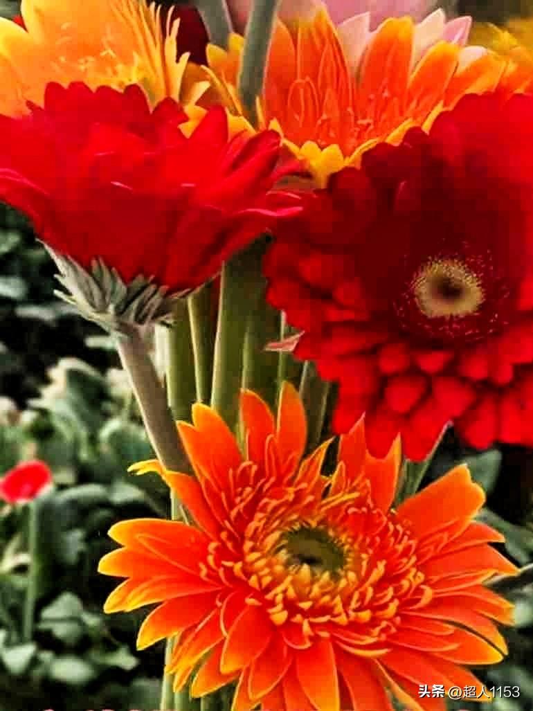 又是美好的一天！
常常微笑，不会老。

快乐开心，病会少。
身体健康，是个宝。