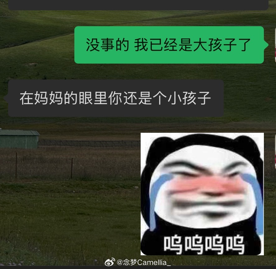 呜呜呜