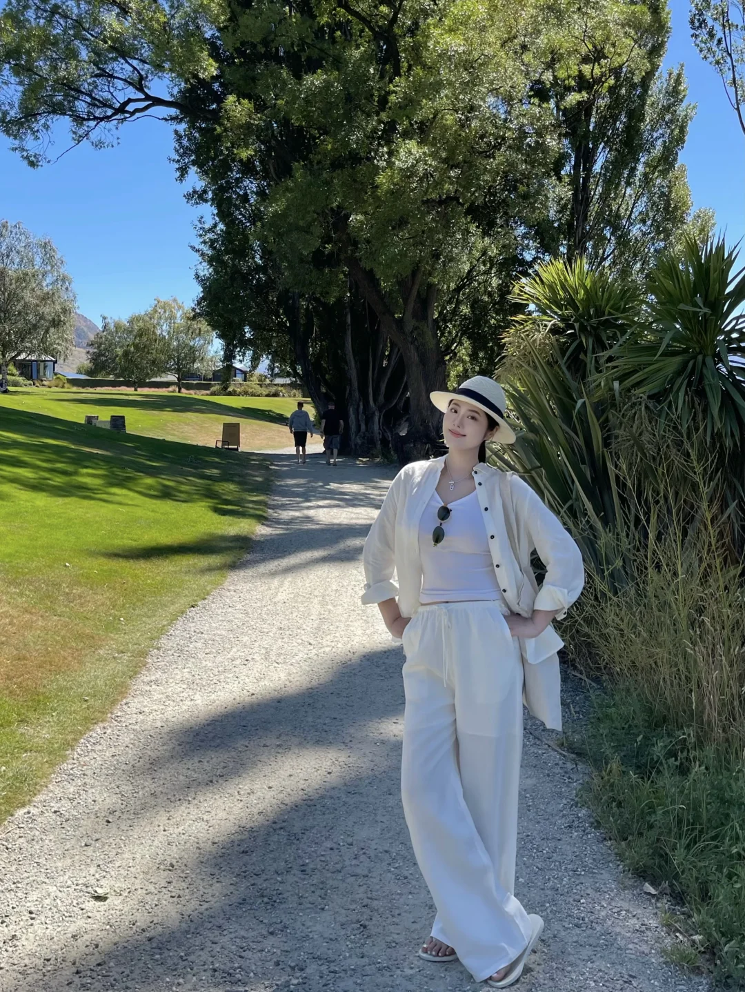 在新西兰过春天🪻⛰🍃