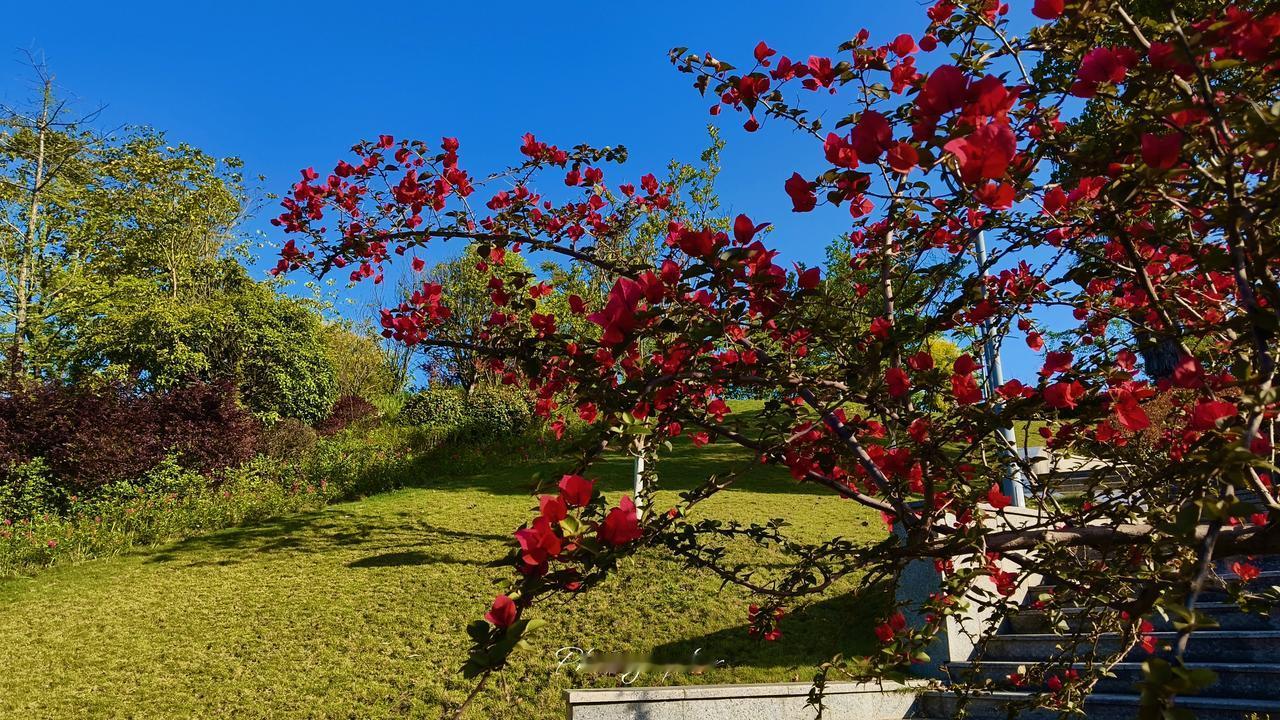 俄罗斯经济是否能迅速恢复能。前提是俄乌冲突停战，西方解除对俄罗斯的制裁，油气价格