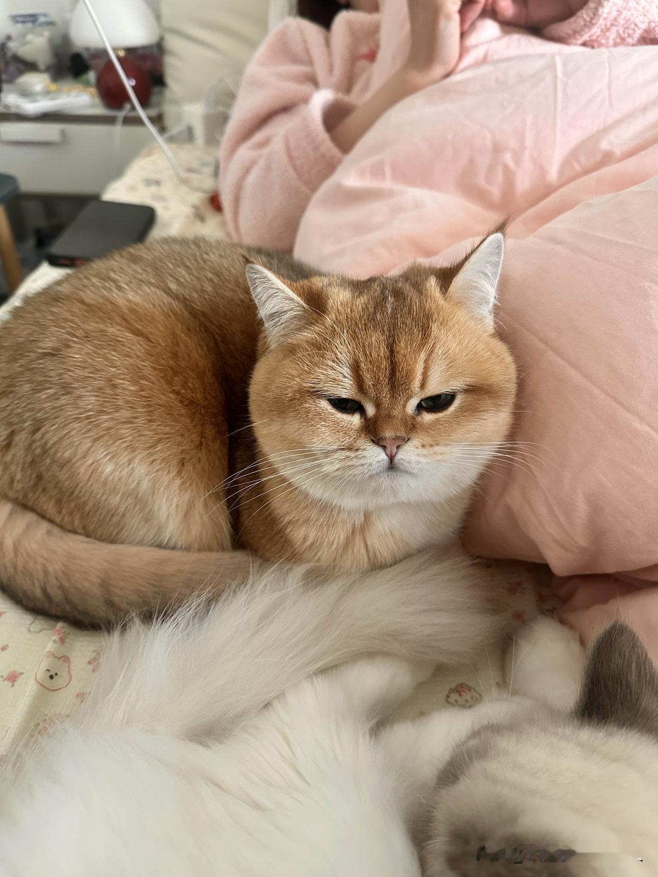 会做饭会做家务的男人多了，我只是其中一个。世上男人很多，坏男人不少，好男人也很多