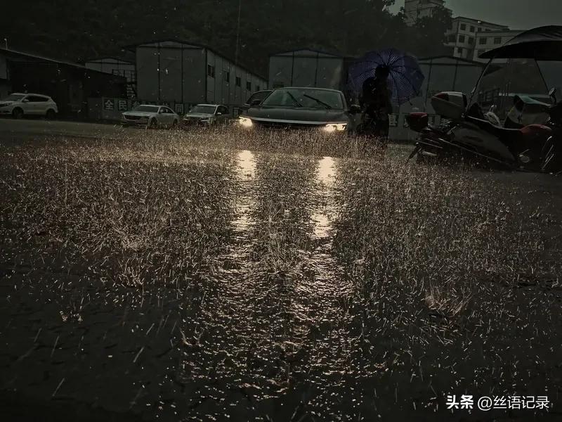 想不到的事
真是太多了
谁也不会想到
自己会被一场
猝不及防的雨淋到
谁也不会想