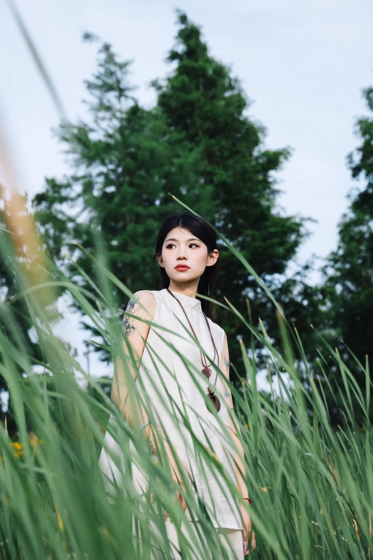 芦苇，小黄花，夕阳。我的摄影日记