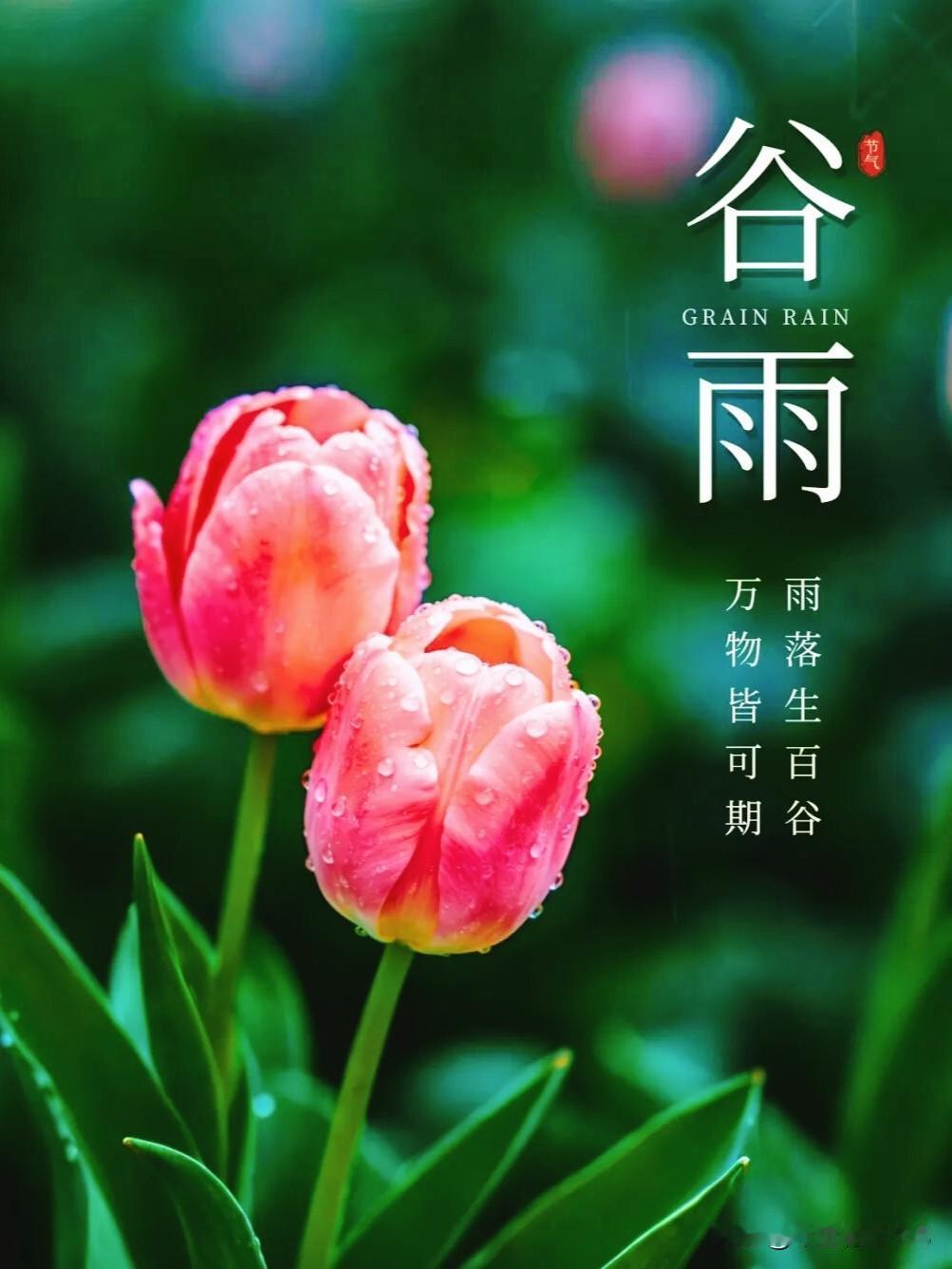 谷得雨而生，心随景而宁。
风染千山绿，雨润百花柔。
一雨润初心，百谷兆丰收。
 