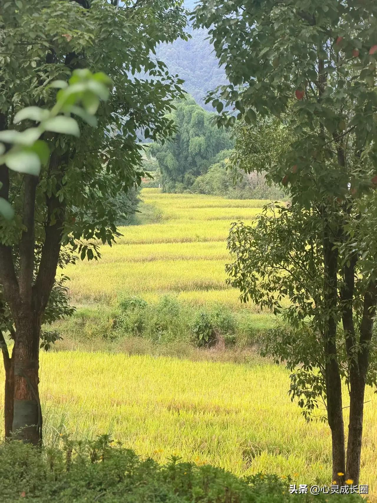 运气是彩蛋，实力才是主菜

北京朝阳有位老张，年轻时买彩票中了五万，当时觉得“鸿