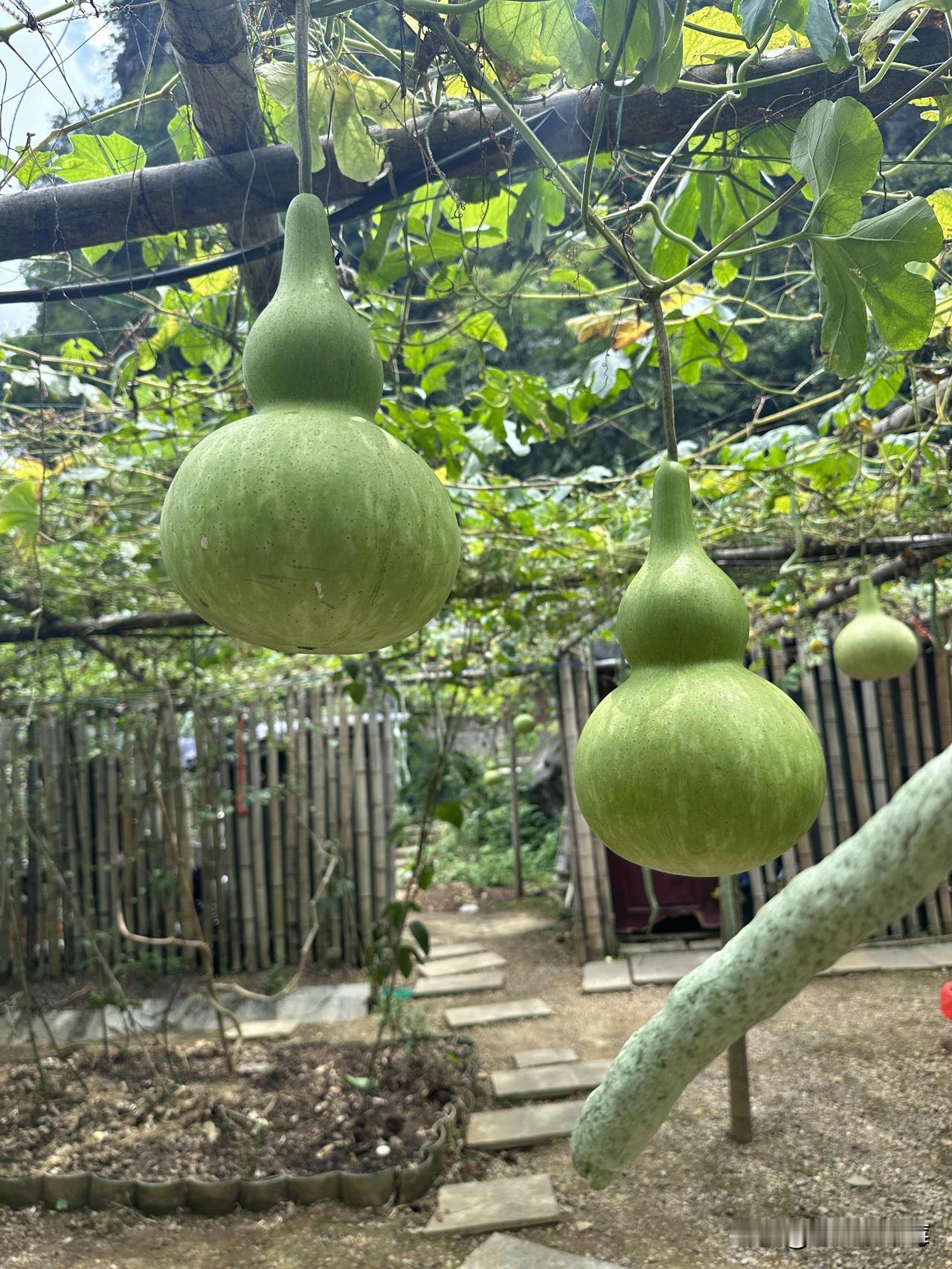 夏日生活打卡季做那些小动作，天知道，小人替我挡灾[吐血]人心险恶，庐山真面目[刀