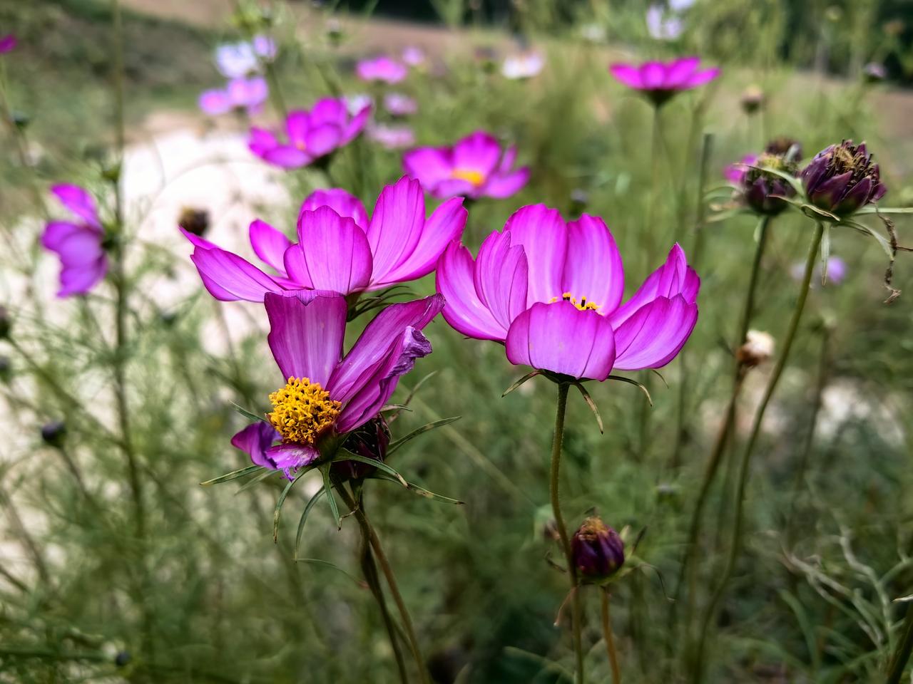 朋友总把钱存银行，听完一笔账，终于重新开始定投了😜
 
我有个朋友，总说自己条