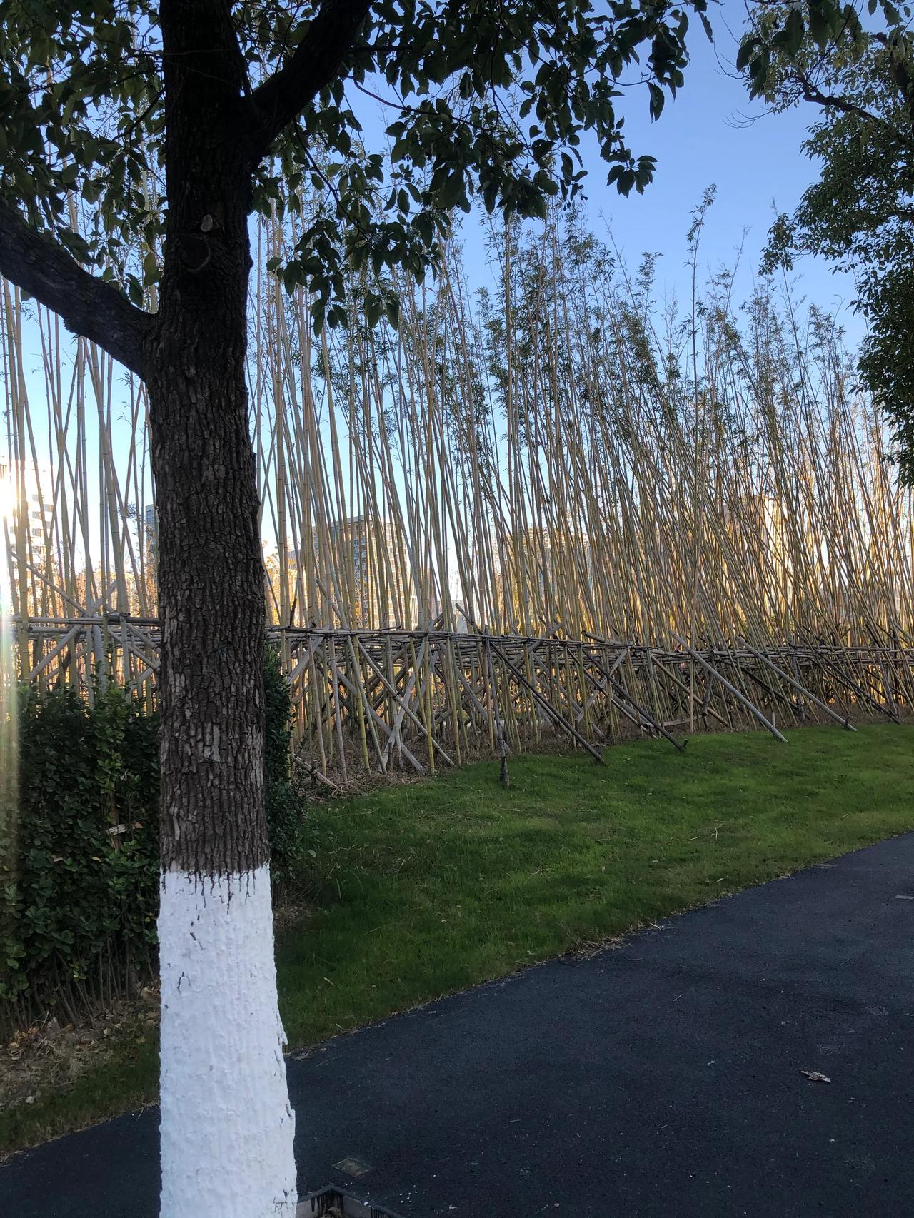 误识初冬是立春
文｜孙玉良 
2025年11月18日，隆冬季节的南京，看一江流水