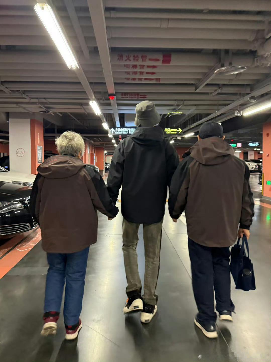 夏之光晒爷爷奶奶手牵手背影照 夏之光晒爷爷奶奶手牵手背影照 