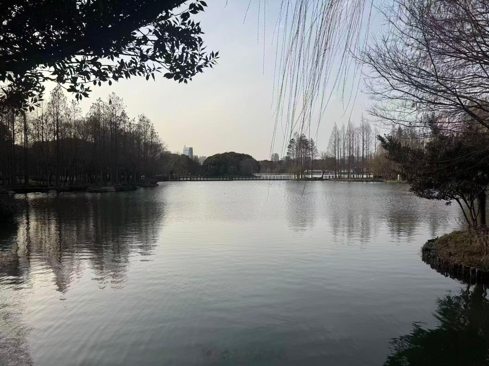 2026年第15、16次运动：- 游了1000米，速度有点慢。这次注意了不要塌腰