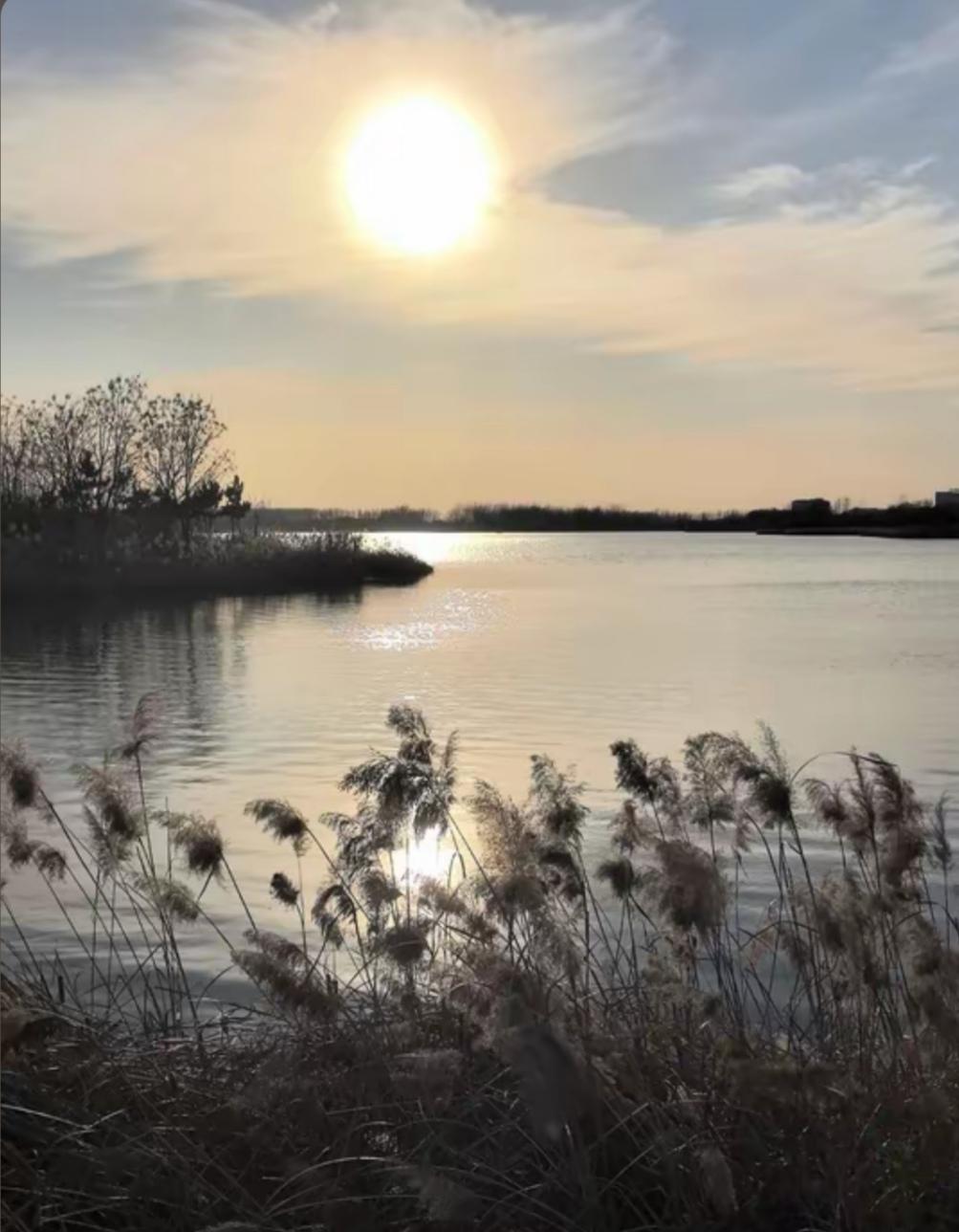 分享一张随手拍