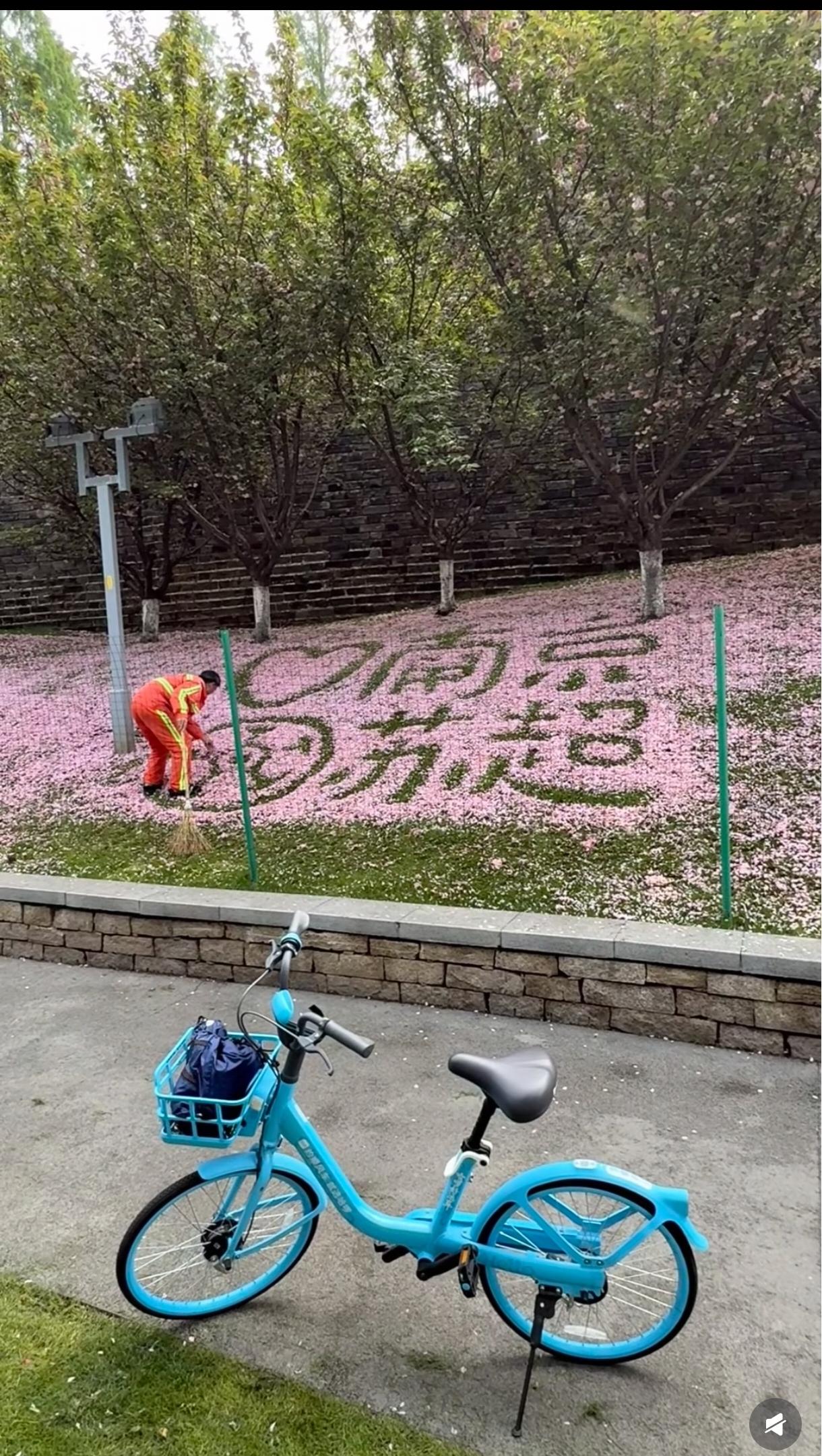 热爱生活的人闪闪发光，人民群众是社会物质财富的创造者，人民群众是社会精神财富的创