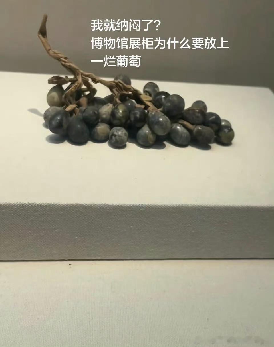 第一次被中式美学震撼到 看故宫的红墙映着白雪，飞檐翘角藏着岁月的纹路，那一刻突然