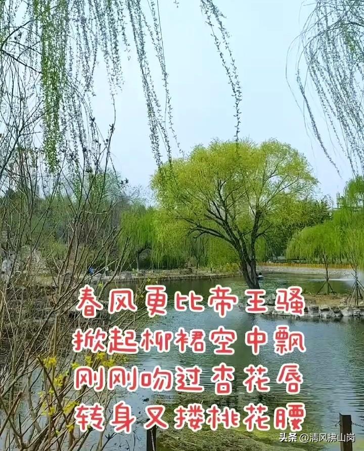 一首应景的七绝走红网络，诙谐俏皮，和煦的春风摇身一变，成了个风流不羁的花花公子—