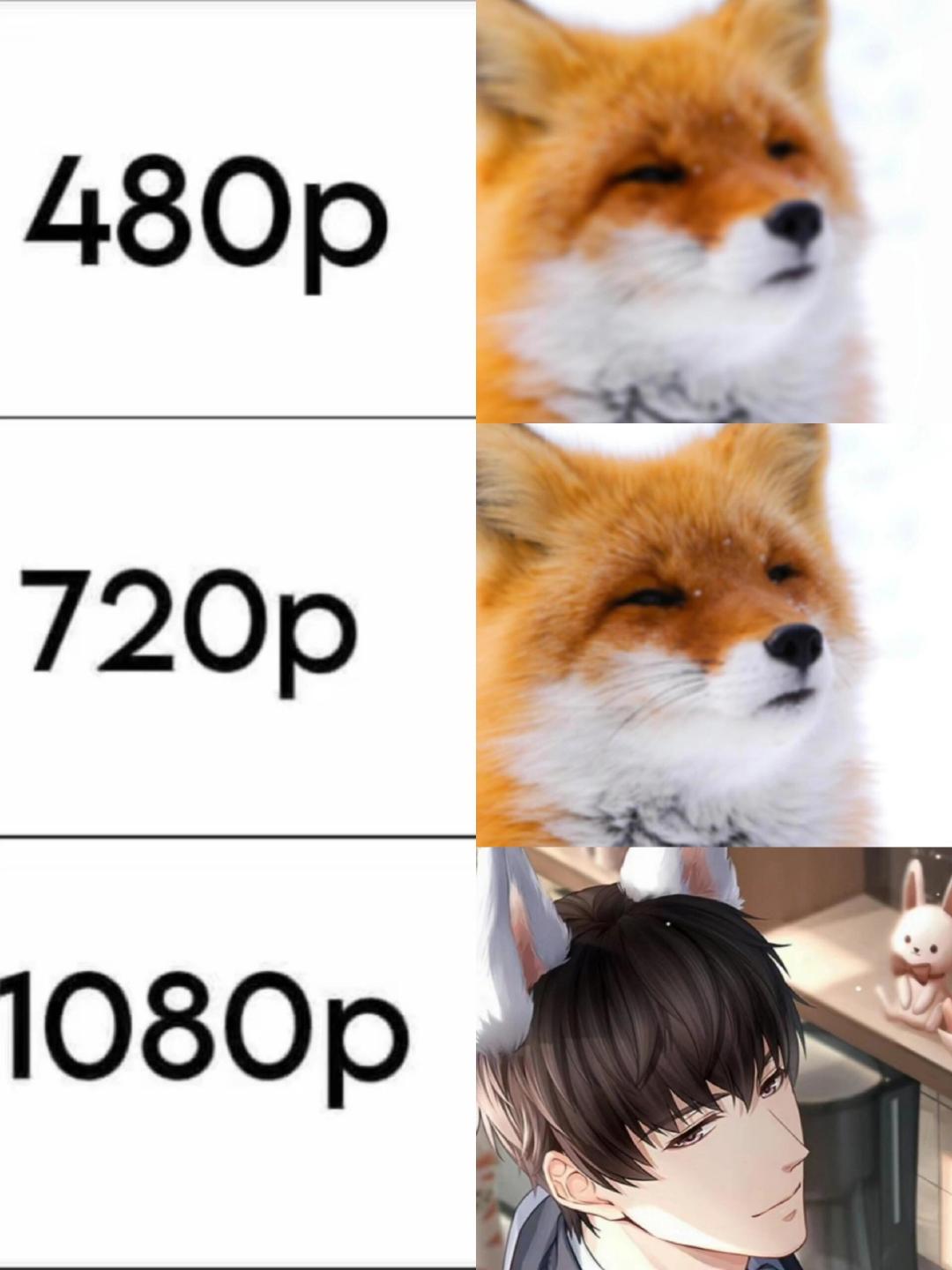 宝宝你是一只小狐狸！好萌，萌的我在床上打了两个滚！ 