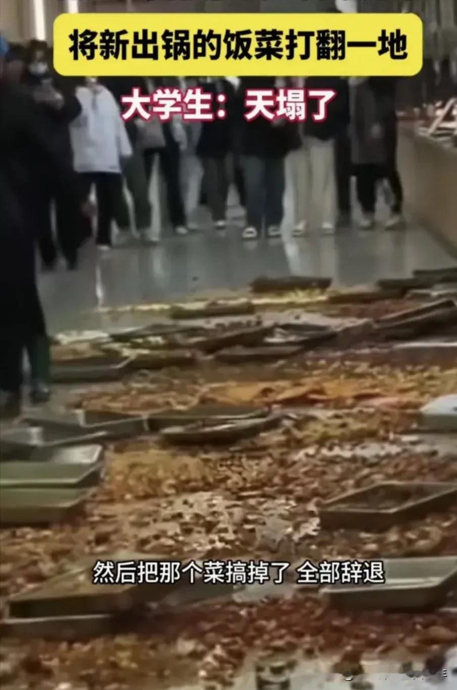 这两个做饭的阿姨，实在不该浪费这些饭菜。饭菜无过，无错，更无罪，为什么要这么对待