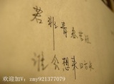 嘟子爱看娱乐
