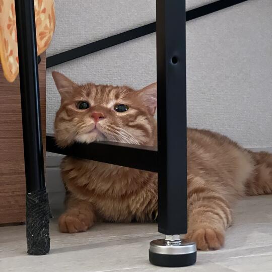 还是挺有搞笑天赋的