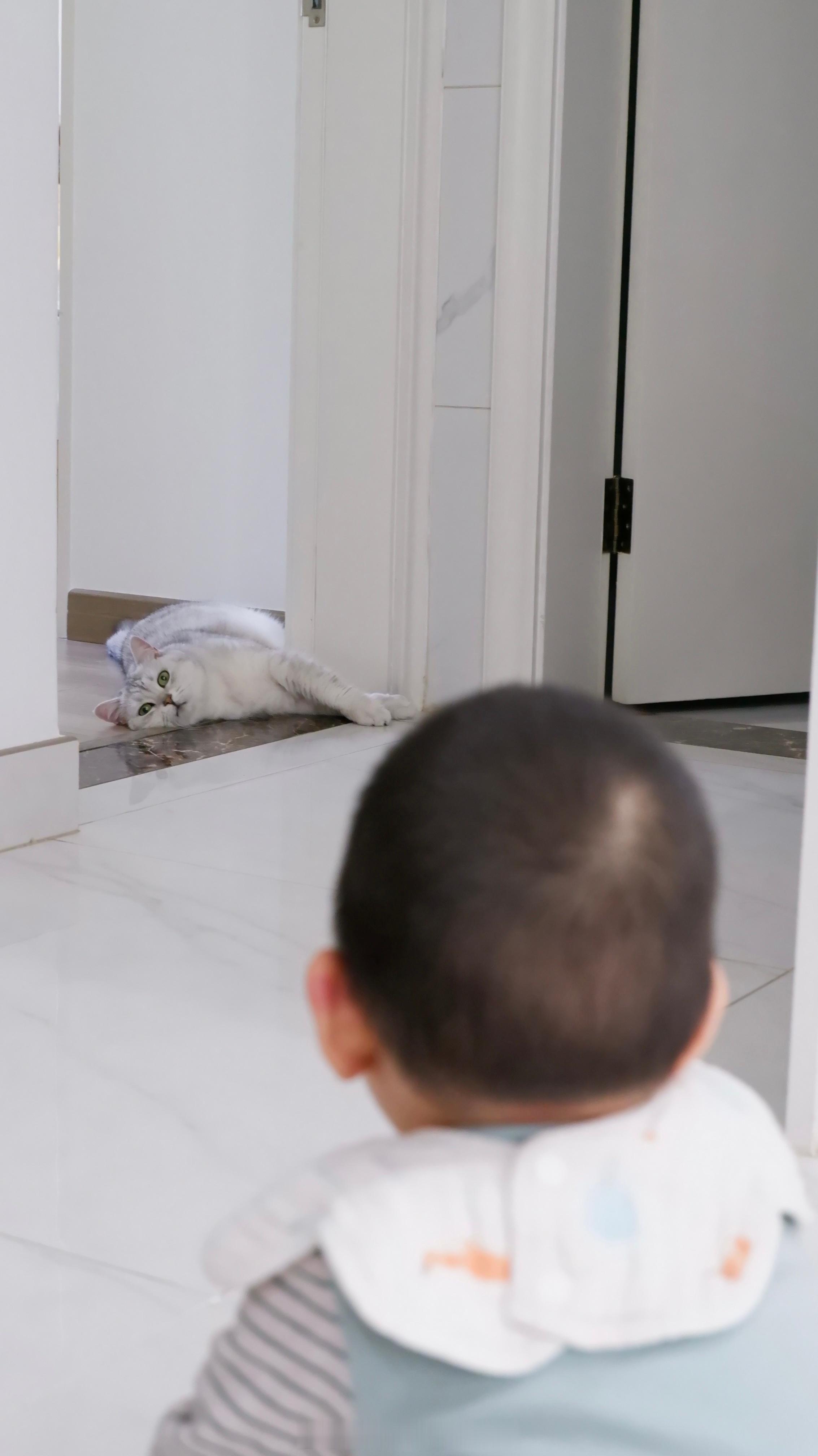 做哥哥的要大方·弟弟好像没什么战斗力·放弃抵抗·糕 [电影特技狂人]#喵趣横生#