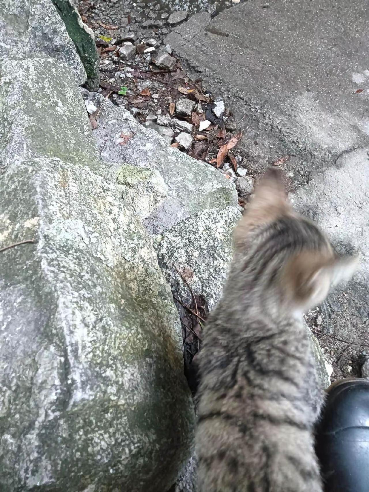啥叫两口子