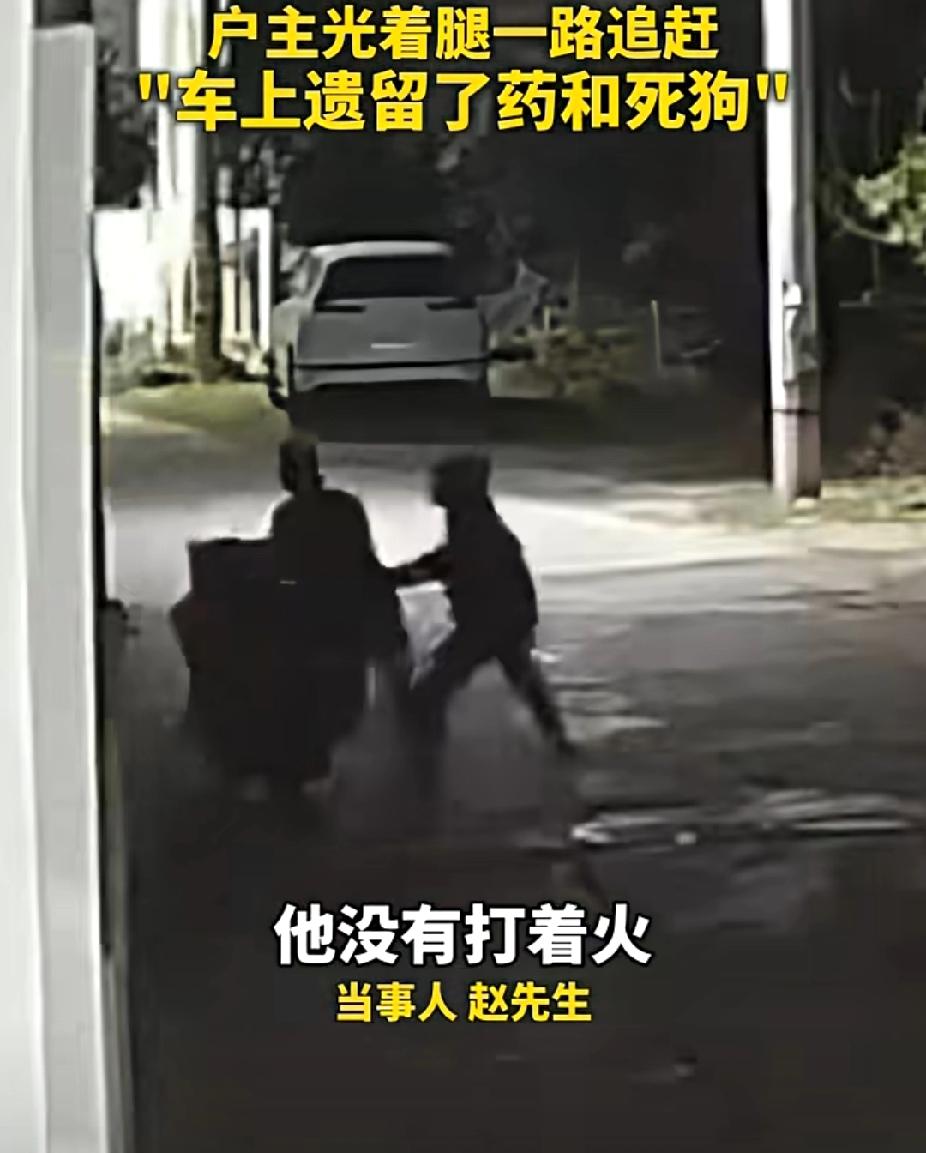 太猖狂了！蒙面黑衣男子凌晨偷狗被狗主人发现后弃车而逃，车上遗留了毒药和一条死去的