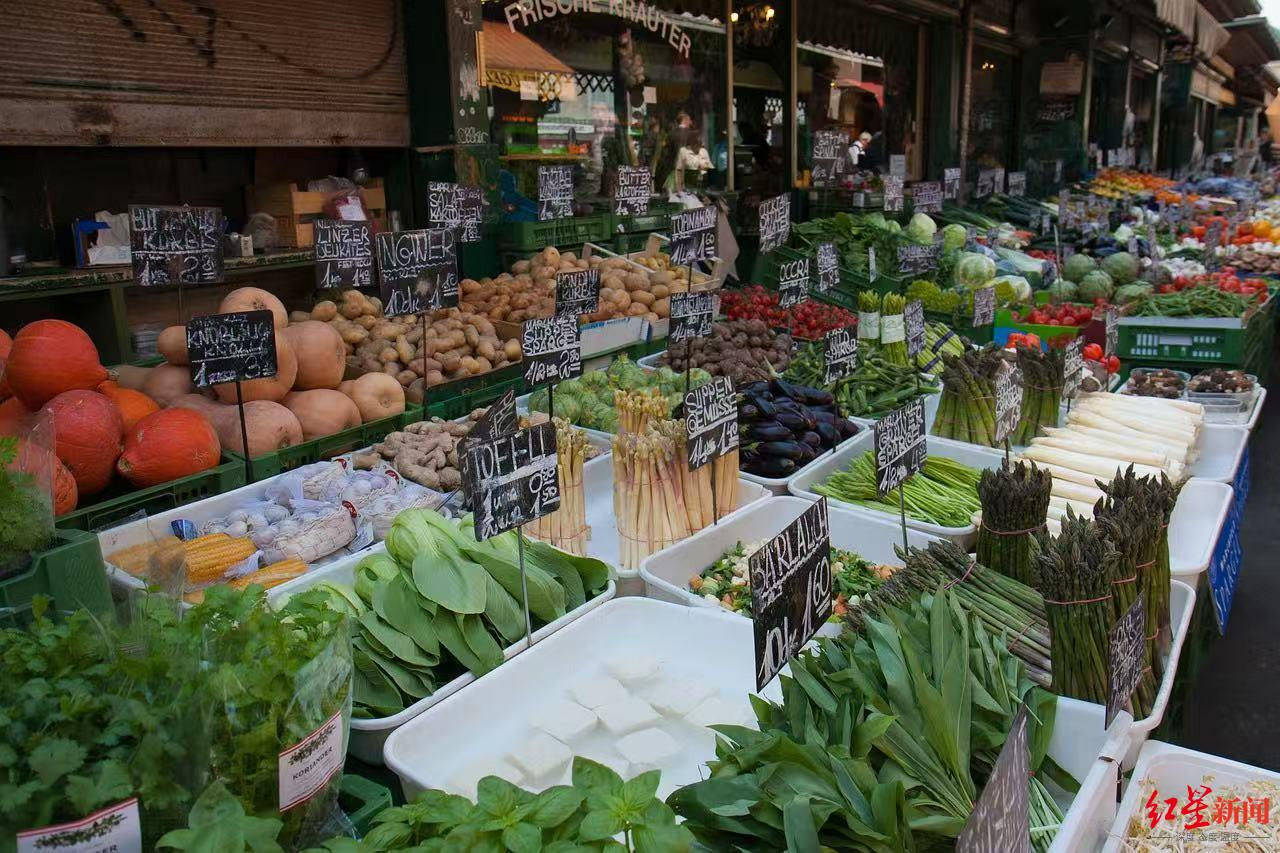 【农民收获2000吨土豆却扔掉400吨？，专家：非偶发】今年的德国北部平原，丰收