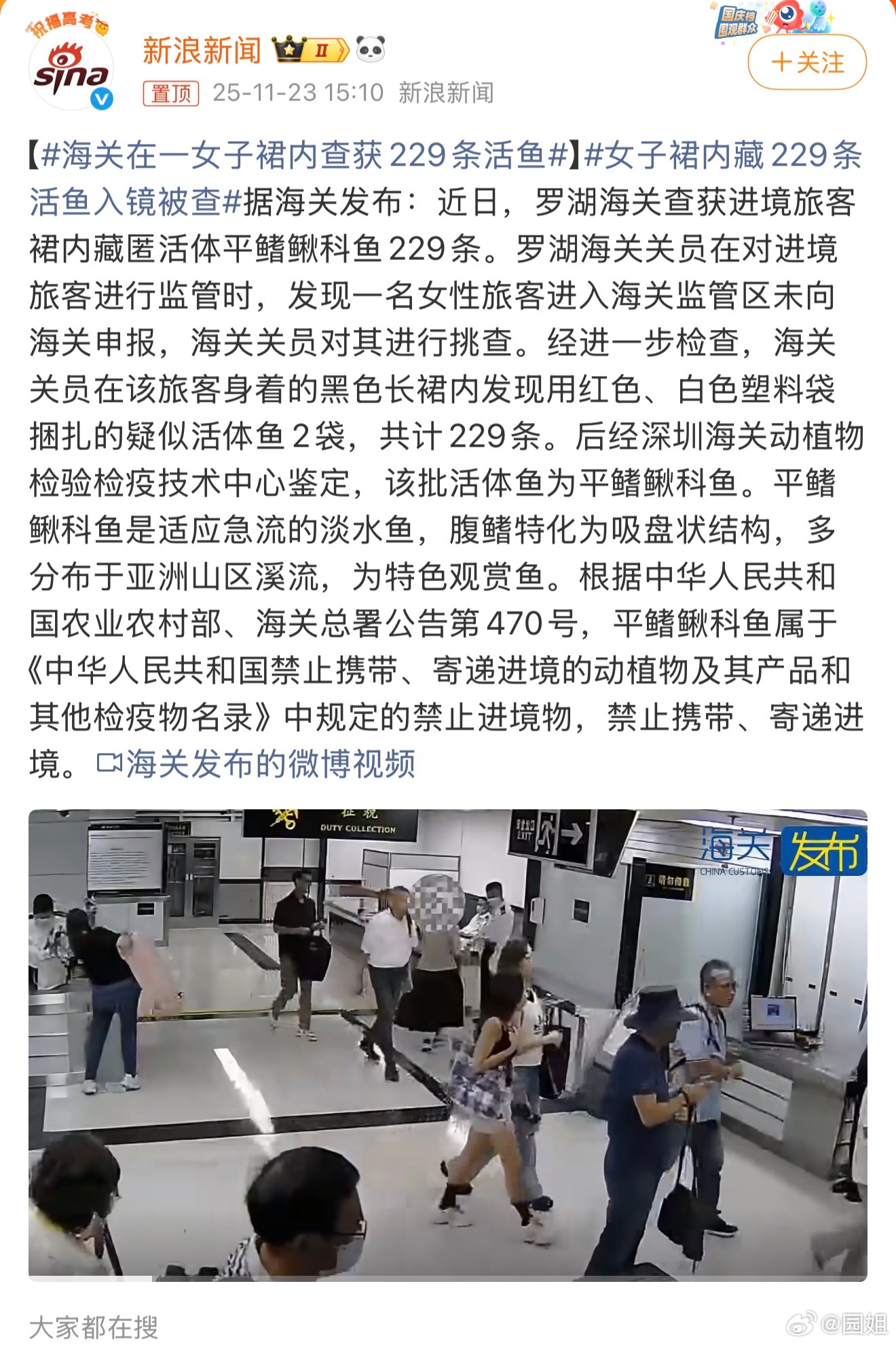 真是什么奇葩都有，这也能带，还带229条鱼