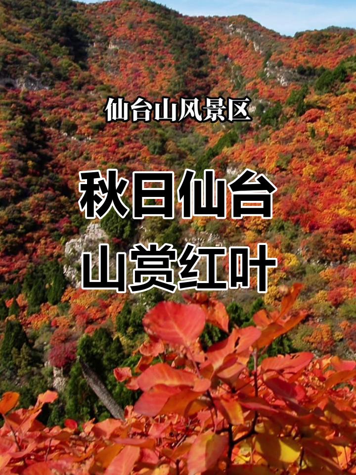 石家庄金秋旅游线路来了。中秋、国庆假期来临。抽两三天的时间到石家庄周边旅游。省心