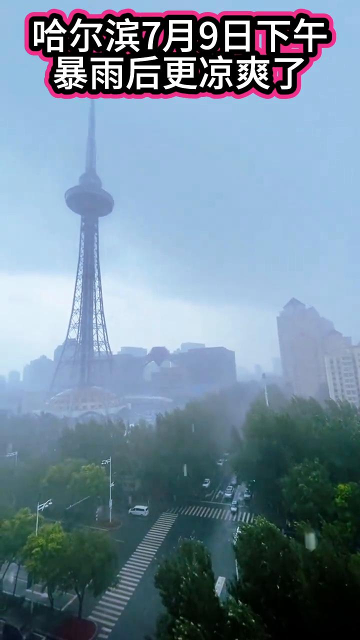 哈尔滨7月9日下午暴雨后更凉爽了。