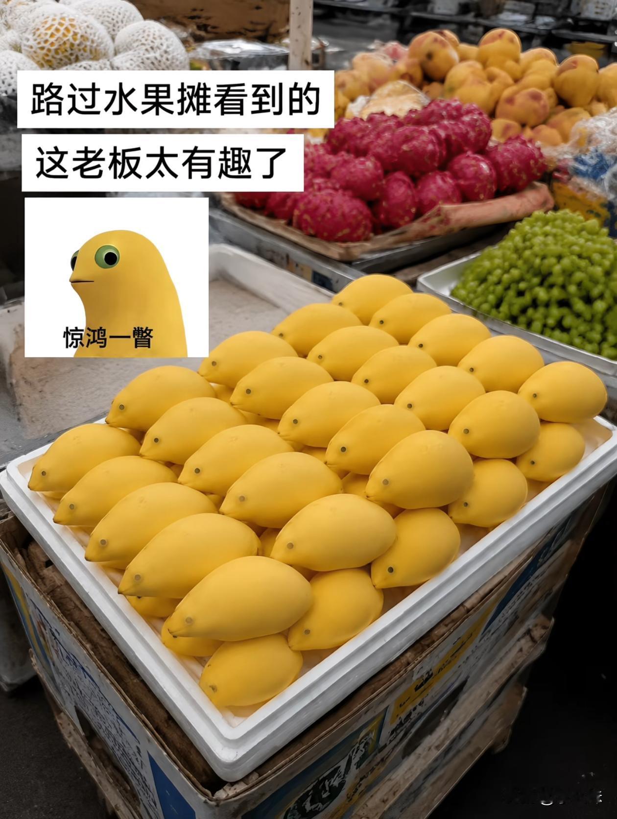 不是还真有这玩意儿啊