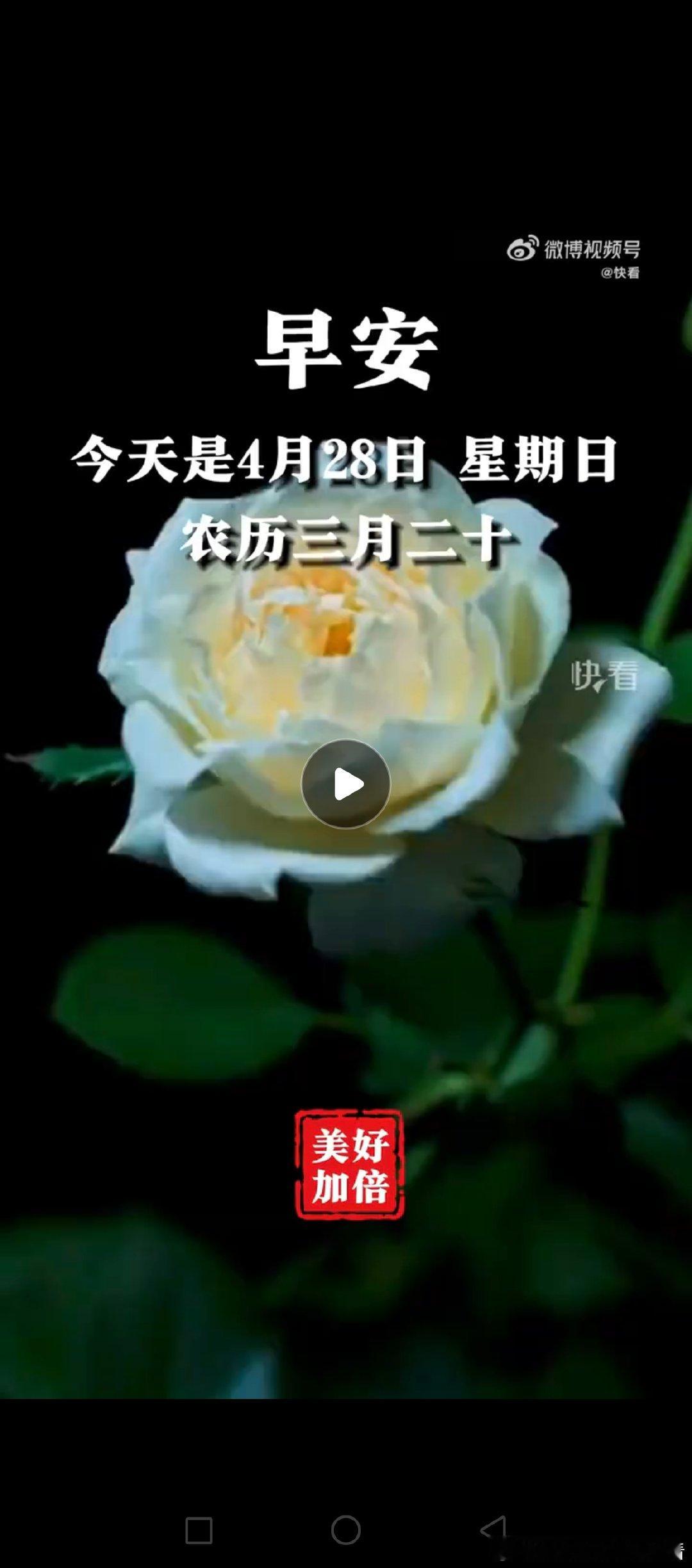 新华社快看这个视频绝了，看封面点开之前还以为是那种土味中老年早安视频。  结果点