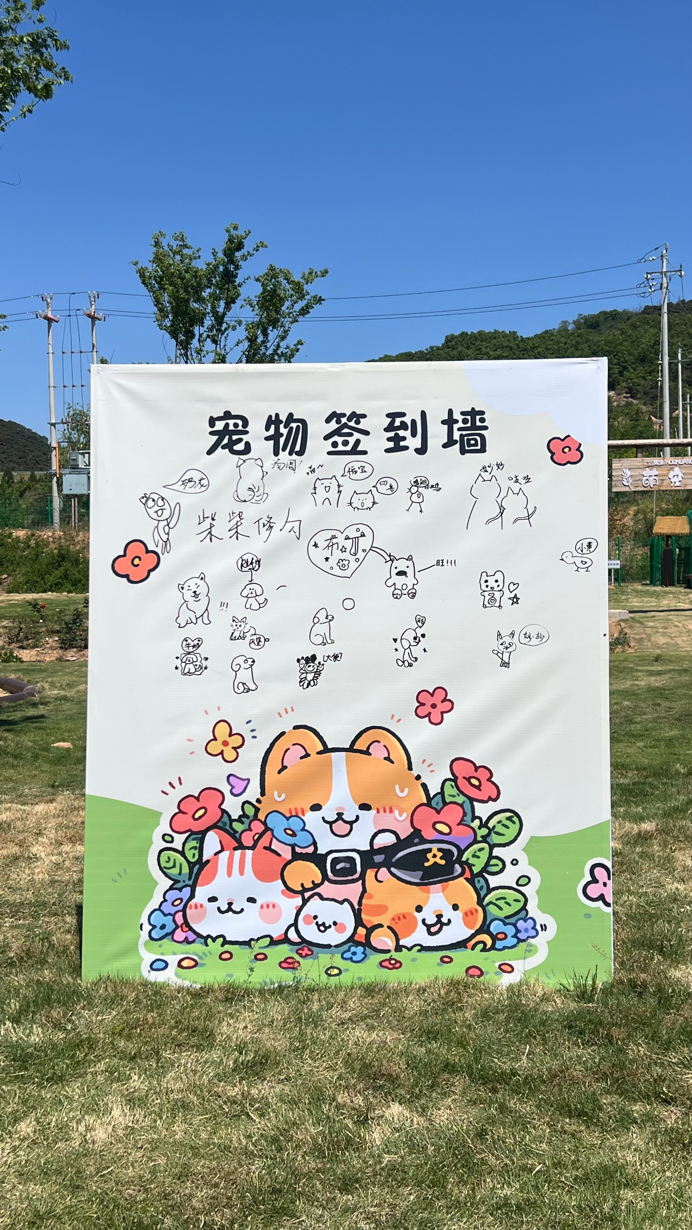 分享图片 ​​​