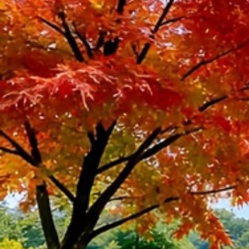 每日一善  每日一善   阳光信用 保持一颗善良的心，就是人生幸福的源泉，就是一