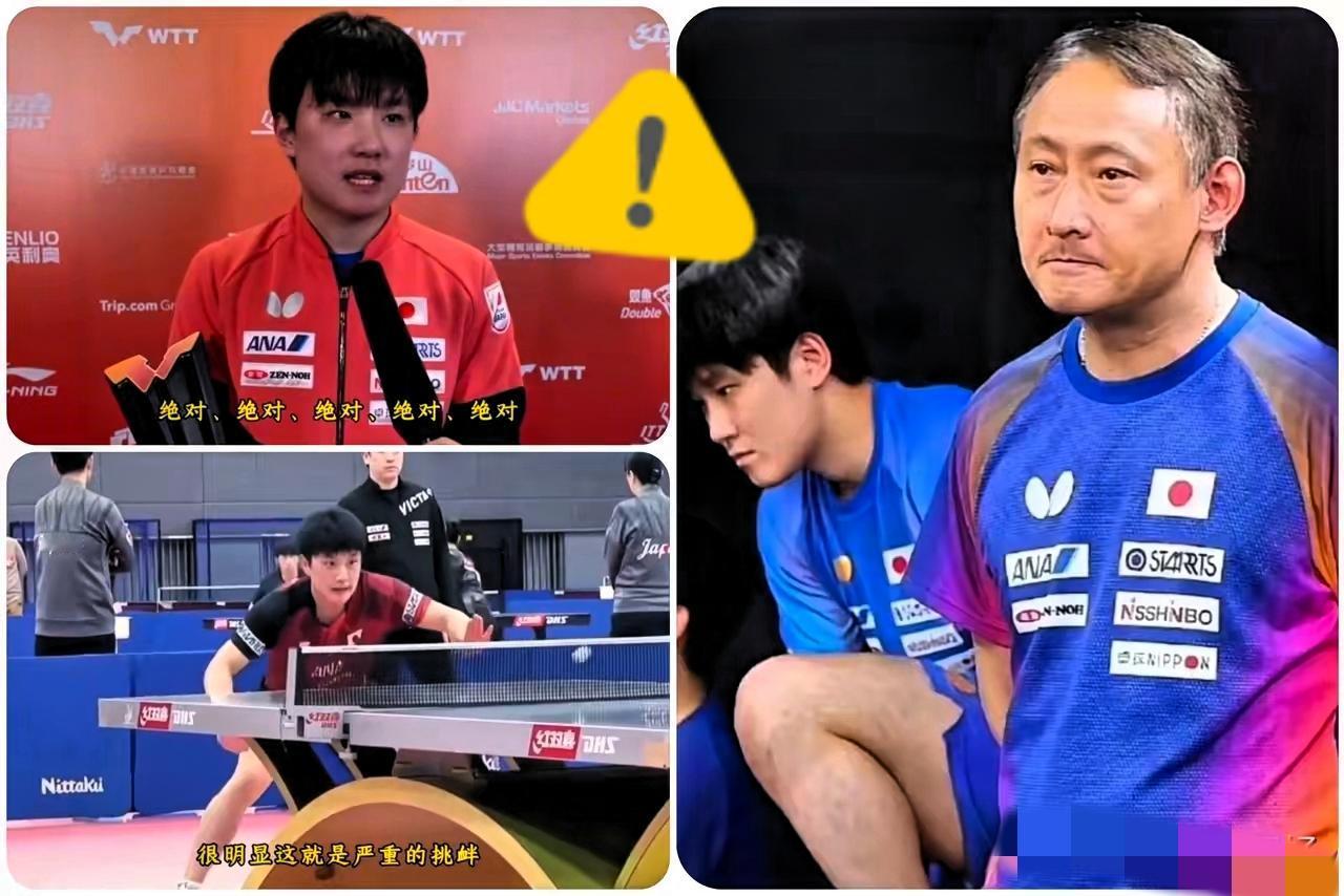 喊错口号
引火烧身！张本智和
风波连累全家，赴华参赛恐遇冷
​​张本智和赛前一句