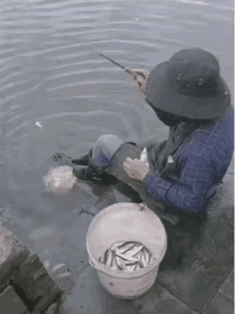 你确定钓鱼需要技巧吗？看看人家[呲牙]