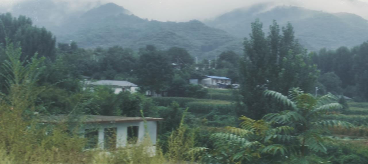我的家乡背靠大山，山间云雾悠悠缭绕。山下庄稼郁郁葱葱，满眼鲜活的绿意。清澈溪水顺