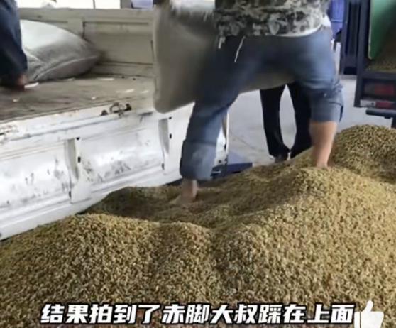 #脚踩葡萄干# 近日，脚踩葡萄干引发争议。初级农产品的加工和运输过程确实很难做到