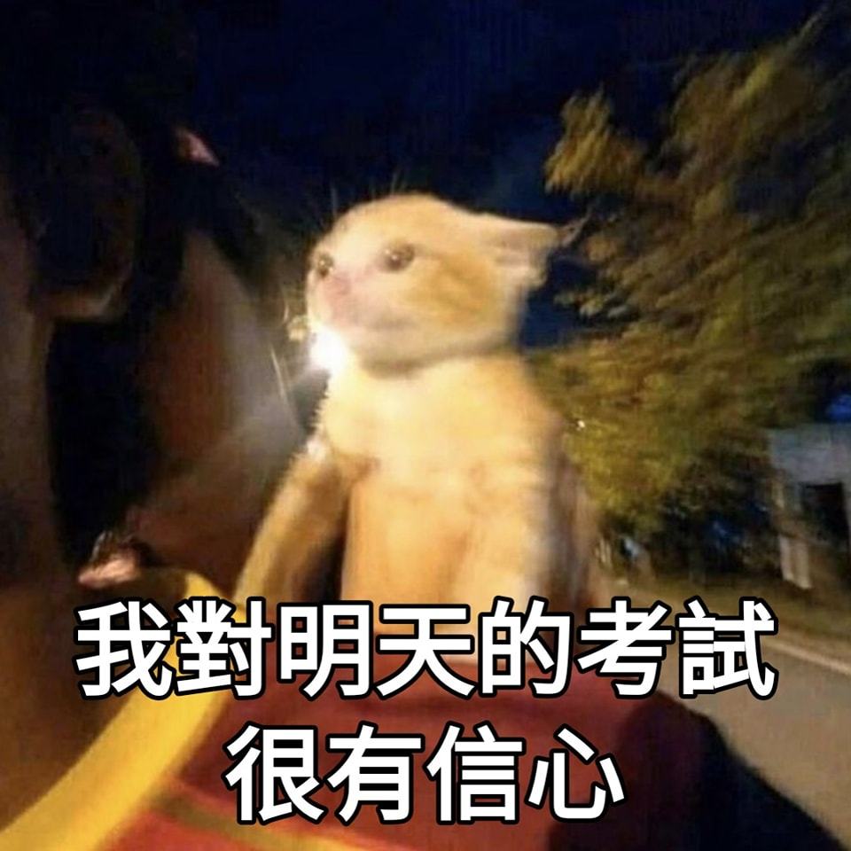考试猫猫 ​​​