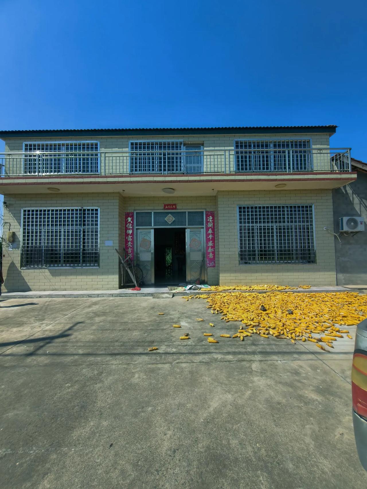 大黄狗趴在冬瓜堆旁打盹，见人路过只抬了抬眼皮——在这儿，陌生人的脚步声从不是警报